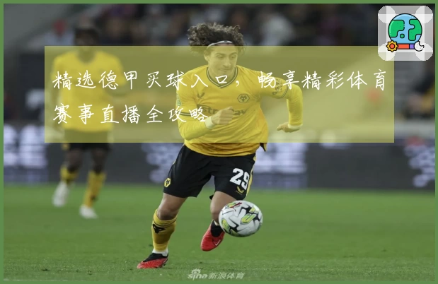 精选德甲买球入口，畅享精彩体育赛事直播全攻略