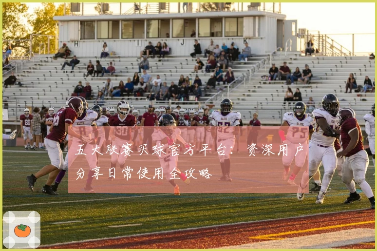 五大联赛买球官方平台：资深用户分享日常使用全攻略