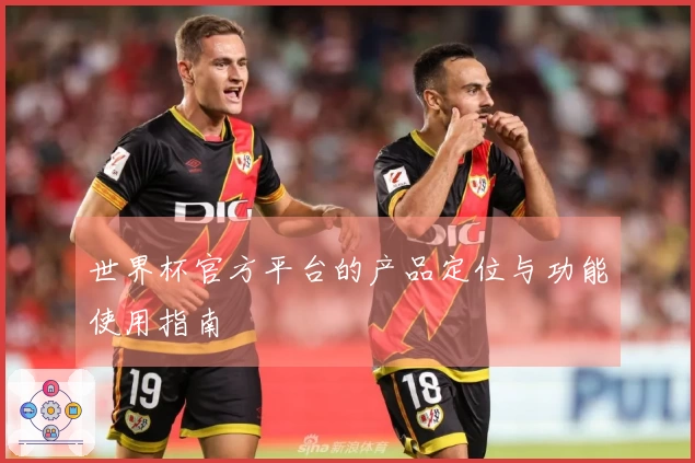 世界杯官方平台的产品定位与功能使用指南
