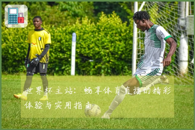 世界杯主站：畅享体育直播的精彩体验与实用指南