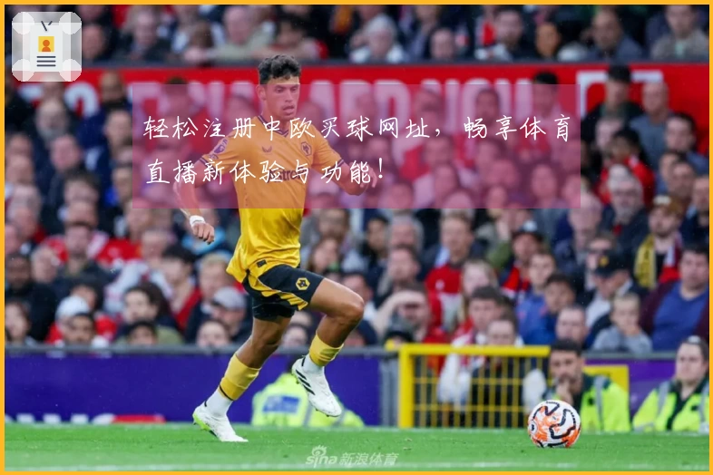 轻松注册中欧买球网址，畅享体育直播新体验与功能！